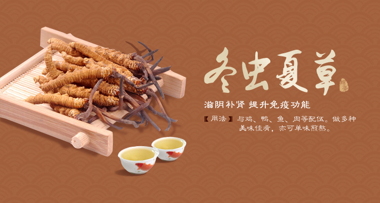 中医智慧，草本养生——中草药开启健康生活